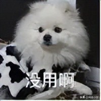 网盘推广正确方法_迅雷网盘拉新教程_精准挖掘宝藏资源